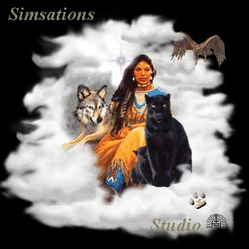 Simsations Studio